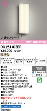 OG254833BR