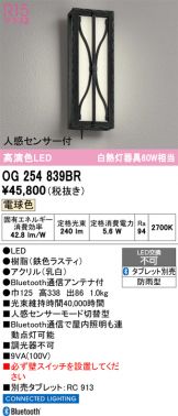 OG254839BR