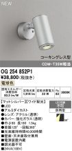 OG254852P1