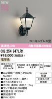 OG254947LR1
