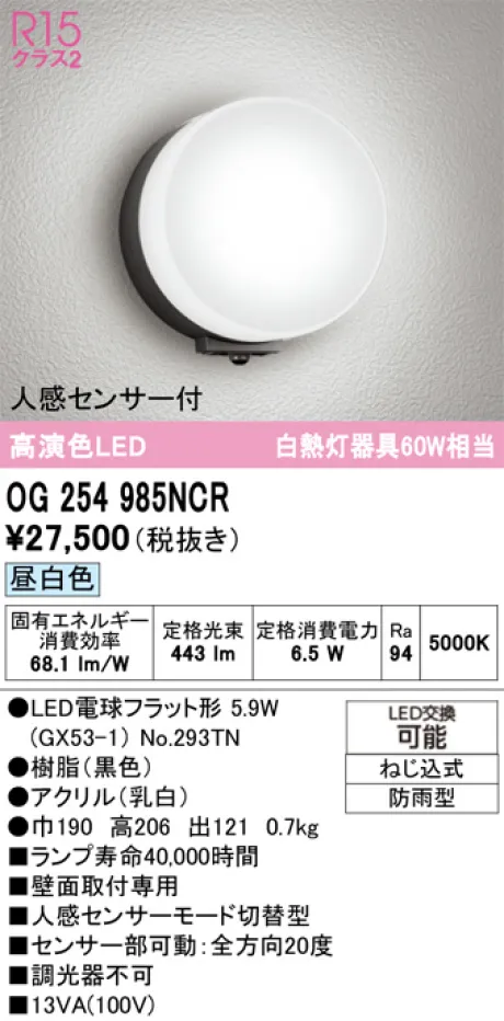 OG254985NCR