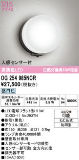 OG254985NCR