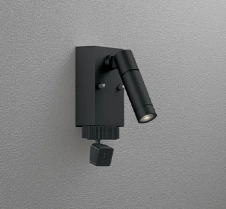 OG264208P1
