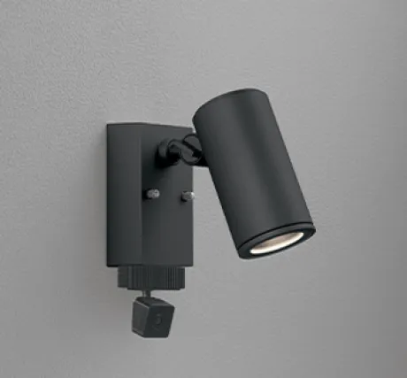 OG264220P1