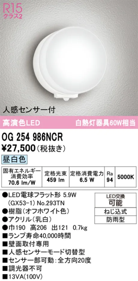 OG254986NCR