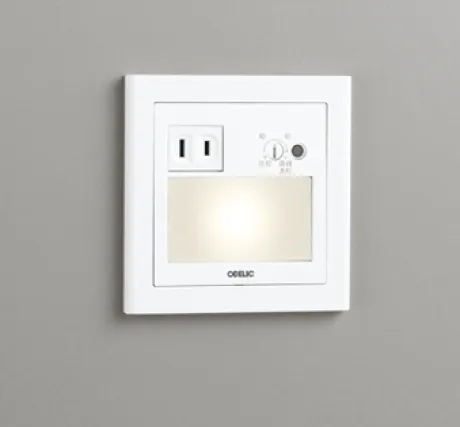 OB255031P1