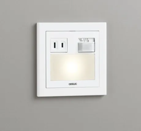 OB255032P1