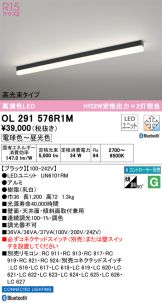 OL291576R1M
