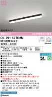 OL291577R2M