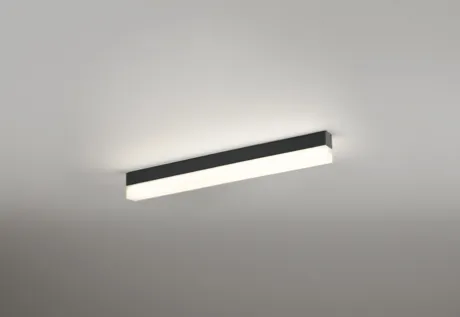 OL291578R1E