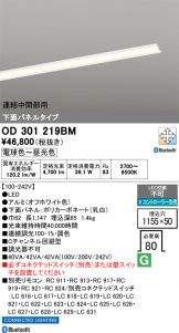 OD301219BM