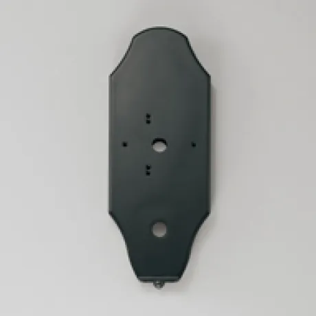 OA253099