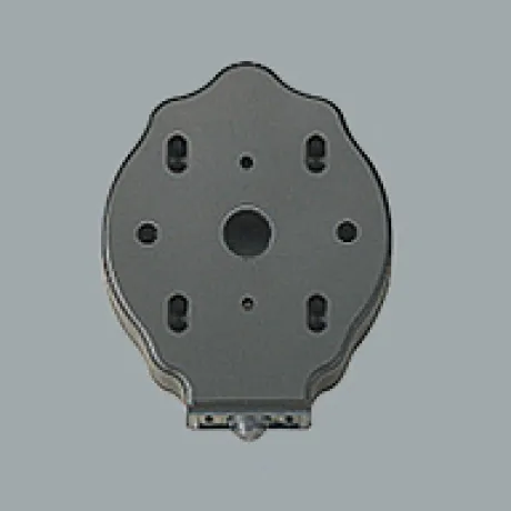 OA253137