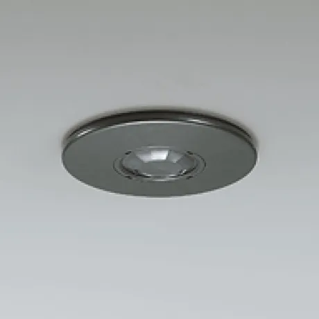 OA253218P1