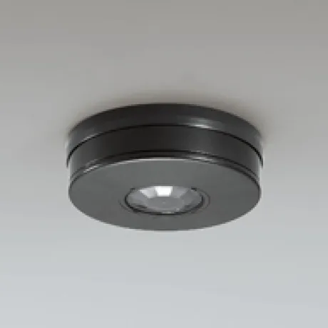 OA253220P1