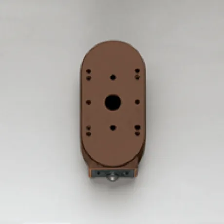OA253379