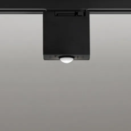 OA253531