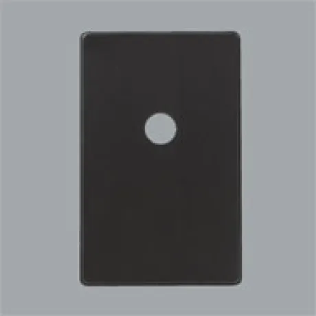 PF308B1