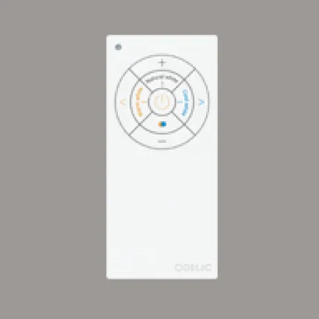 RC919