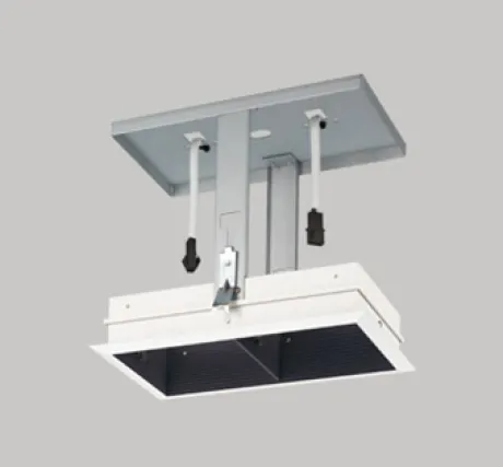 XA253314P1