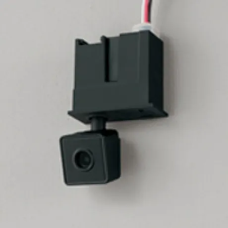 OA253463P1