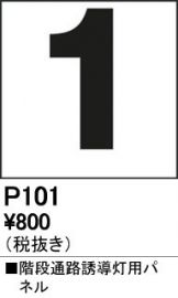 P101