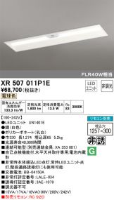 XR507011P1E