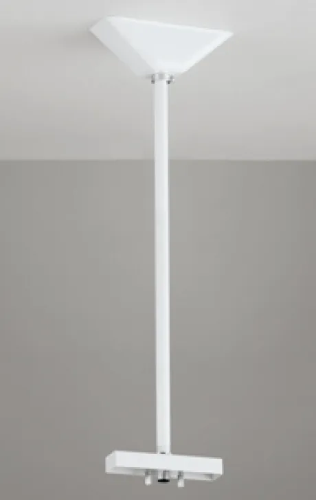 OA253455