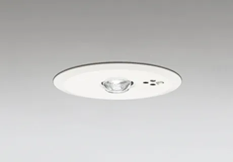 OR036107P2