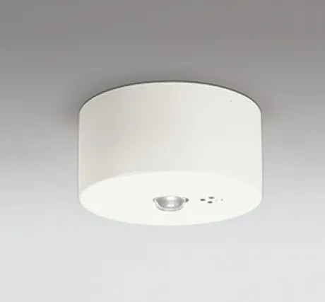 OR036109P2
