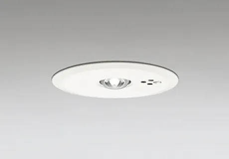 OR036307P2