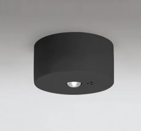 OR036309K1