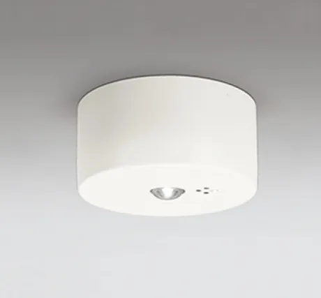 OR036309P2