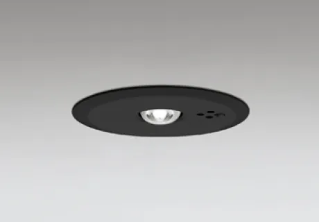 OR036317K1