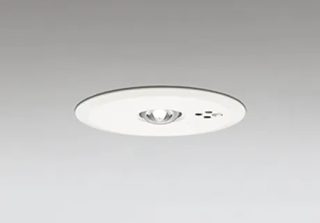 OR036317P2