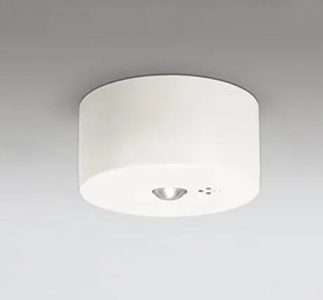 OR036319P2