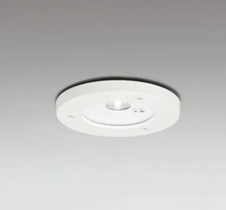 OR036345P1