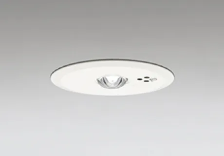 OR036807P2