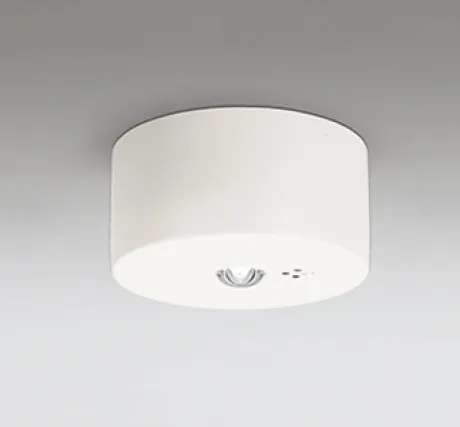 OR036809P2