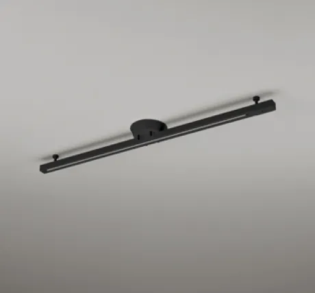 OA253498
