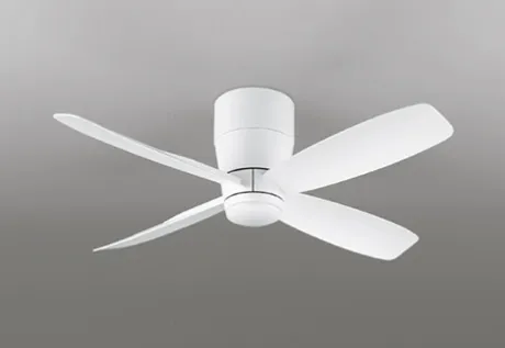 WF810P1