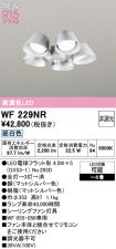 WF229NR