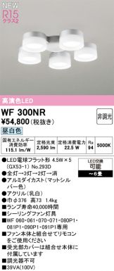 WF300NR