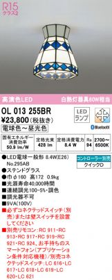 OL013255BR