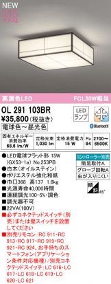 OL291103BR