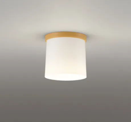 OL013007BR