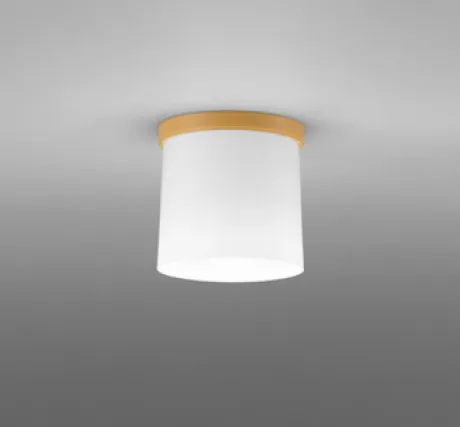 OL013007NR