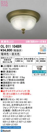 OL011104BR