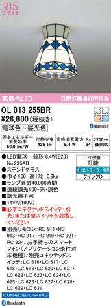 OL013255BR