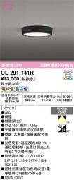 OL291141R